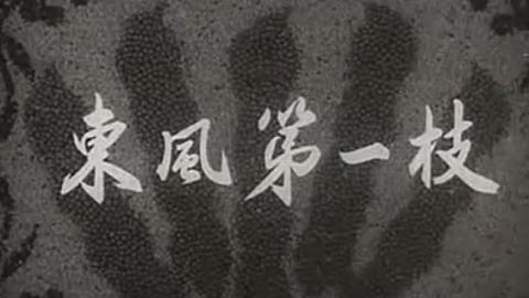 1960年评剧电影《东风第一枝》全集MP4下载