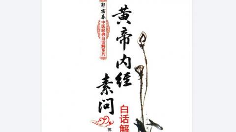 《黄帝内经素问白话解》上下.郭霭春著.中国中医药出版社2012版PDF下载