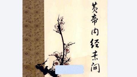 《黄帝内经素问》梅花本.人民卫生出版社2012版PDF下载