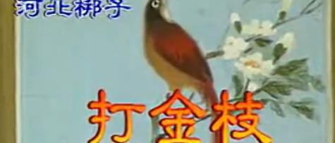河北梆子全场《打金枝》银达子 韩俊卿 金宝环 上mp4下载