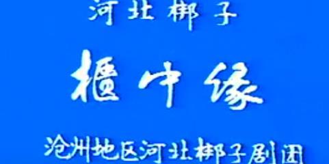 河北梆子全场《柜中缘》王凤兰、王淑兰mp4下载