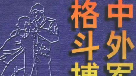 《中外军警格斗搏击全书》刘艺林PDF网盘下载