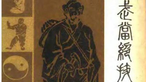 《武当绝技：秘本珍本汇编（续集）》李天骥PDF打包下载