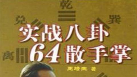 《实战八卦64散手掌》王培生PDF打包下载