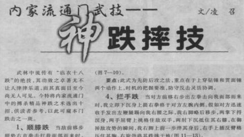 《内家流通门武技——神跌摔技》凌召PDF打包下载