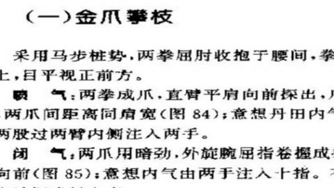 《内劲鹰爪功》PDF打包下载