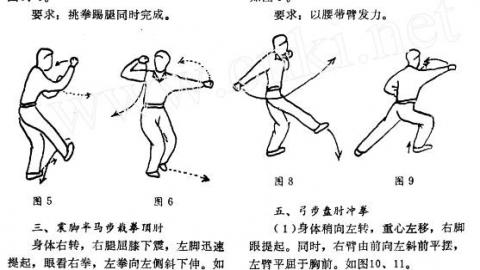 《八极拳》王树田、邹德发PDF打包下载