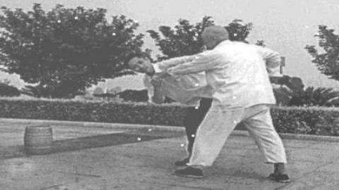 《八拳》羊定国、陈钟华PDF打包下载