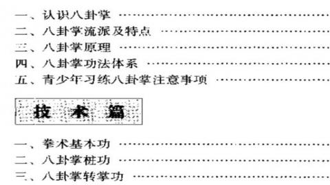 《八卦掌:幽身飘袭的变幻技法》黄鑫PDF打包下载