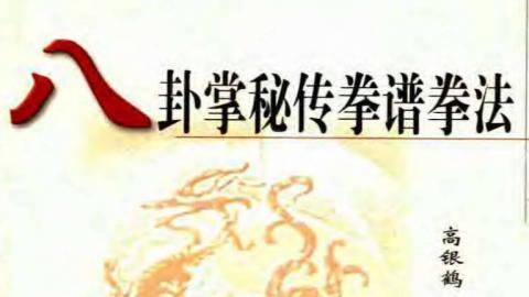 《八卦掌秘传拳谱拳法》高银鹤PDF打包下载