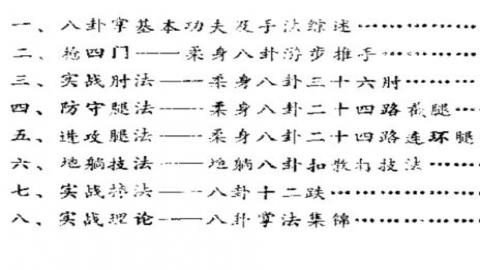 《八卦掌散打术》剑仙PDF打包下载