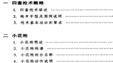 《中国传统武术丛书·卷六·四套枪术》洪述顺PDF打包下载