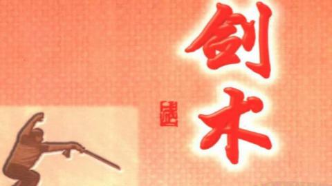 《中国传统武术丛书·卷五·四套剑术》洪述顺PDF打包下载