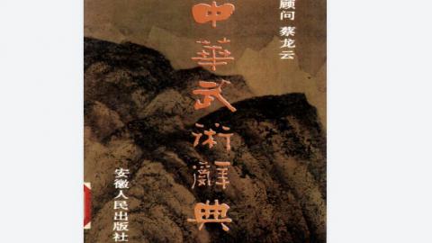 《中华武术辞典》蔡龙云PDF打包下载