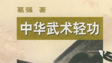 《中华武术轻功:飞檐走壁》葛强PDF打包下载