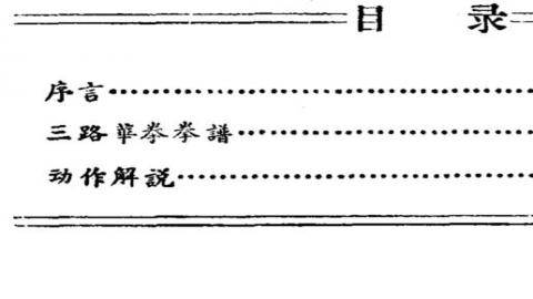 《三路华拳》蔡龙云PDF打包下载