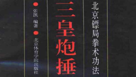 《三皇炮捶——北京镖局拳术功法》张凯PDF打包下载