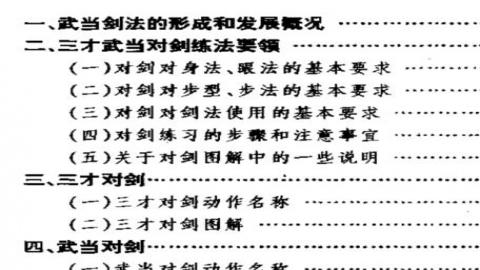 《三才武当对剑》陈龙骧PDF打包下载